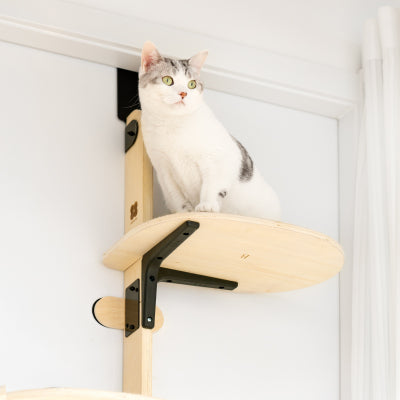 Door Hanging Cat Climber